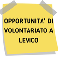 Immagine decorativa per il contenuto AVVISO OPPORTUNITA' VOLONTARIATO